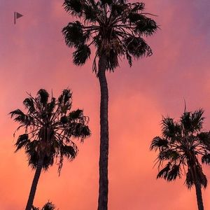 Meet your Posher, Dannilynn